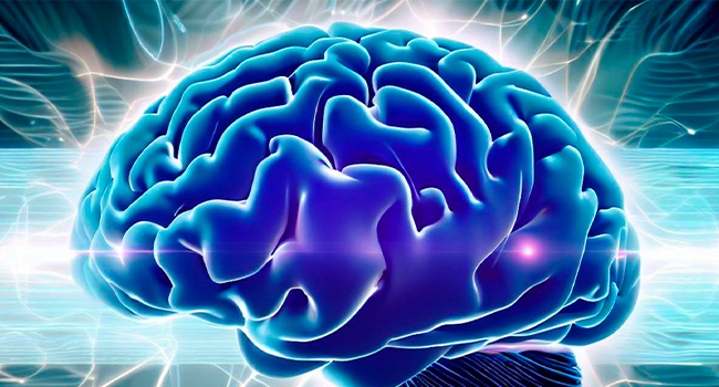 Ученые нашли технологию для помощи людям с повреждениями мозга